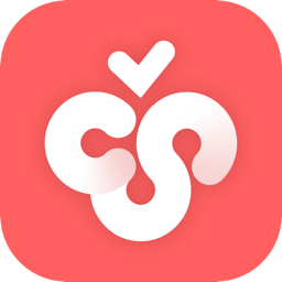 Cherry Studio1.2.4