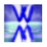 WIDI Professional汉化版-劳模下载