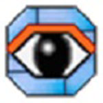 WebSite WatcherV19.4.0.100-劳模下载