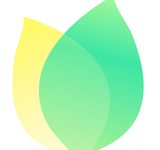 飞火动态壁纸v2.5.1.1-劳模下载