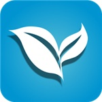 叶子T V盒子版最新版2025(叶子视频电视盒子版)下载 V1.1.8安卓版-劳模下载