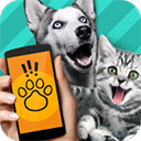 pettranslator动物语言翻译器下载 V1.1安卓版-劳模下载