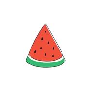 小西瓜驱动pro最新版本下载 v1.4.1