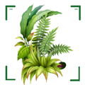 识万物扫一扫动植物扫描识别软件下载 V1.11安卓版-劳模下载