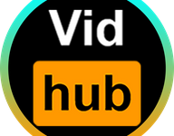Vidhub视频库app正版下载 V4.5.6-劳模下载