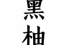 黑柚小说 1.0.1 安卓版-劳模下载