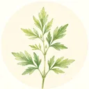 野草日记app最新版下载 V1.0.0 安卓版-劳模下载
