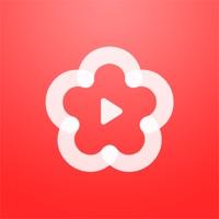 梅花视频 5.5.5 安卓版