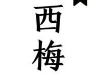 西梅免费小说 1.0.27 手机版-劳模下载