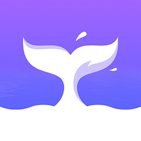 RocNovel 1.0.34 安卓版