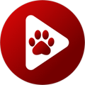 Bear Player 2.20.19 安卓版-劳模下载