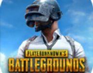 pubg老版本国际服 v3.9.0-劳模下载